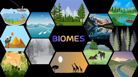 What Is Biome Types Of Biome Major 7 Terrestrial Biomes Of The World