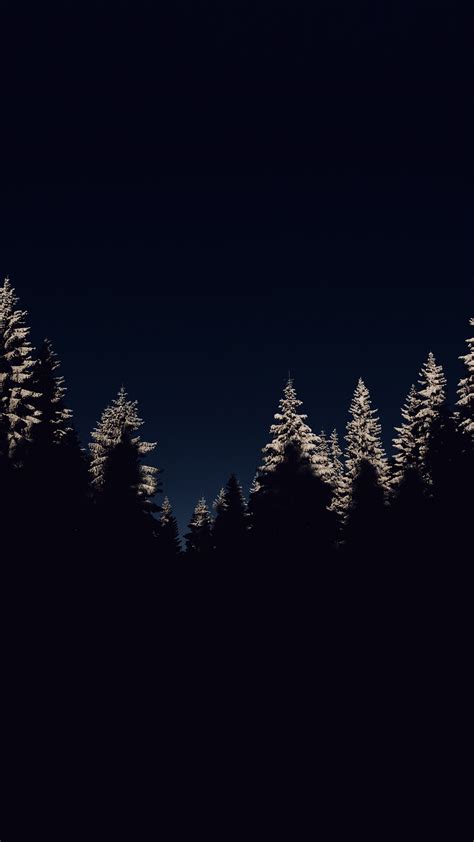 Nl45 Wood Winter Night Mountain Dark Wallpaper
