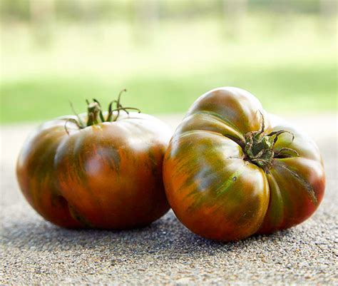 Best Heirloom Tomato Varieties To Grow Garden Gate