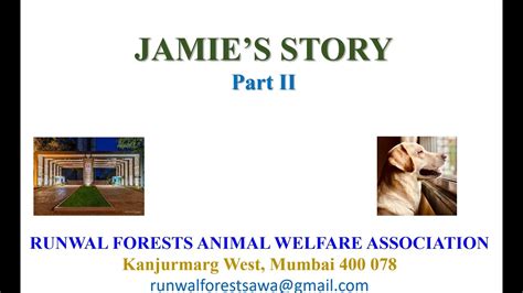 Jamies Story Part Ii Youtube