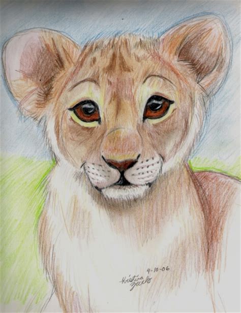 Baby Lion Sketch At Explore Collection Of Baby