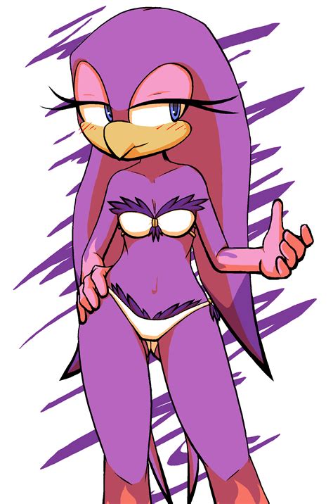 Wave Summer Bikini Sonic The Hedgehog Know Your Meme
