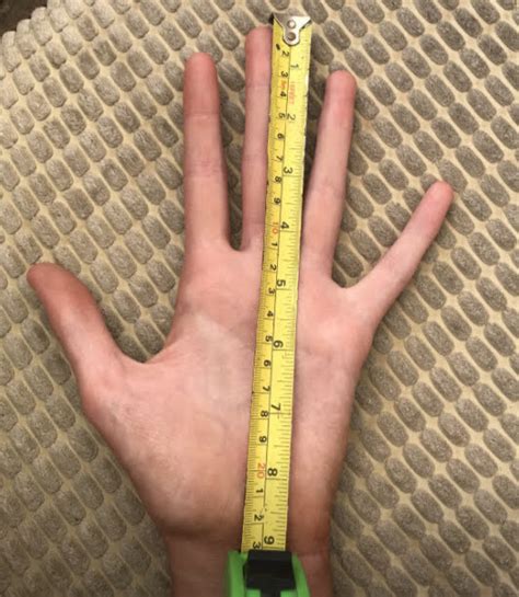 なお On Twitter Jessica Pardoeさん206cmの手。 男性でもこの大きさはいないでしょう。 T