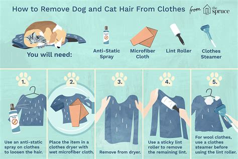 How To Remove Dog And Cat Fur From Clothes Upholstery