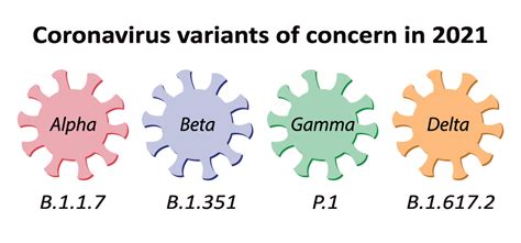 Explainer Virus Variants And Strains