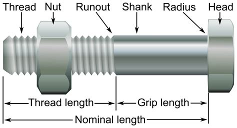Flange Nuts And Bolts Explained Fasteners Savree