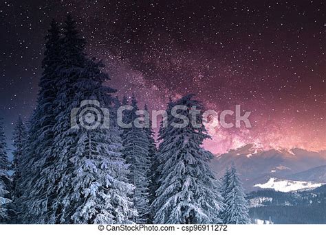 Amazing Winter Wonderland Landscape With Snowy Fir Trees At Night