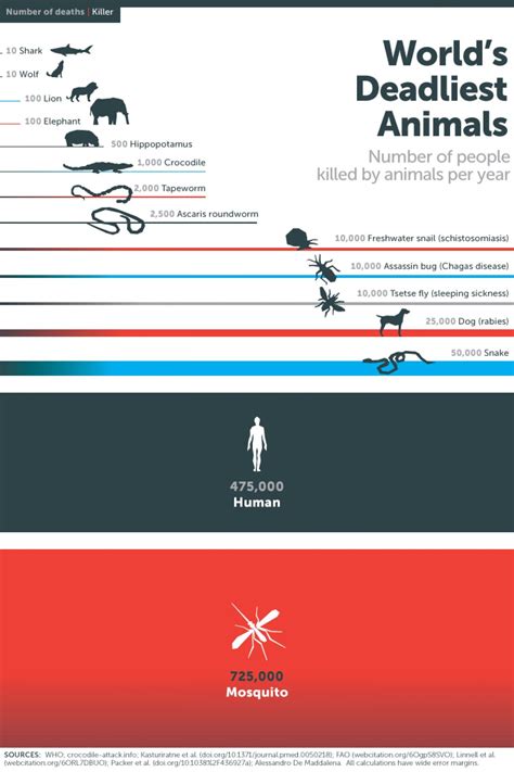 Worlds Deadliest Animals Visually Deadly Animals Animal