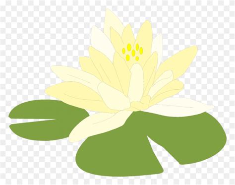 Lily Pad Clip Art Lily Flower Clipart Stunning Free Transparent Png