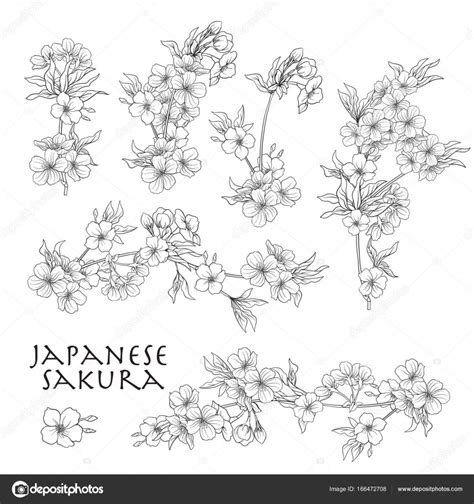Sticker dessin japonais de cerisier pixerstick. Dessin Fleur De Cerisier Japonais Noir Et Blanc - Get Images One