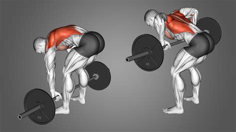 Barbell Pendlay Row Benefits Muscles Worked And More Inspire Us