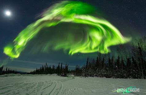 The Aurora Chasers Fairbanks All You Need To Know Before You Go