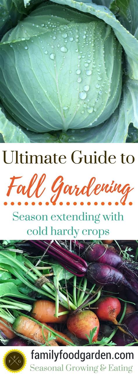 Ultimate Guide To Fall Gardening Winter Gardening Plants Organic