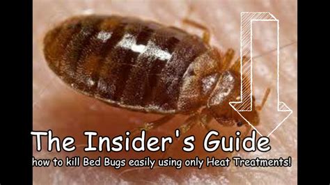 Watch Home Remedies For Bed Bug Bites Treatment Permanent