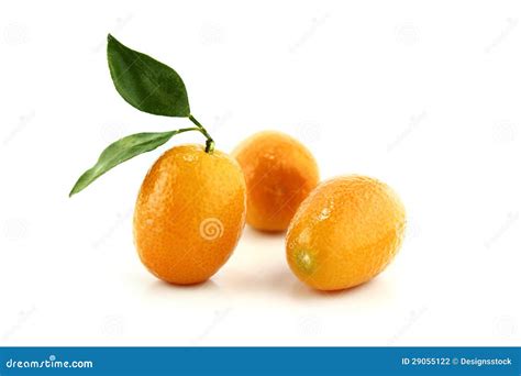 Small Orange Fruit Stock Photo Image Of Natural Juicy 29055122