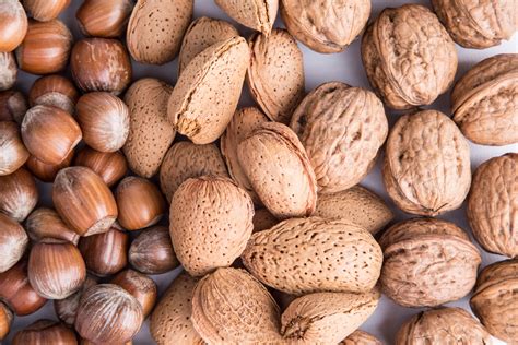 Nuts Free Stock Photo Public Domain Pictures
