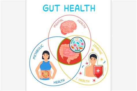 Why Gut Health Matters Food Illustrations ~ Creative Market