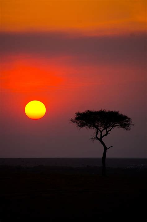 Kenyan Sunset Picture By Umang Jeshani Sunset Pictures Sky Gazing