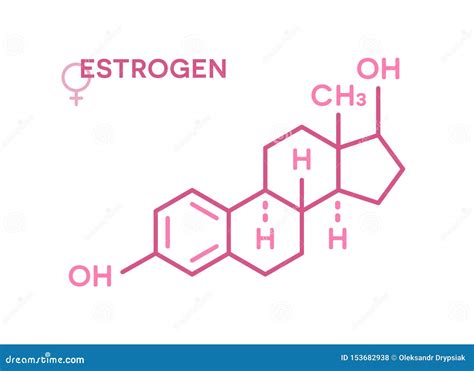 Estrogen Hormones Molecular Formula Sex Hormone Symbol Stock Vector