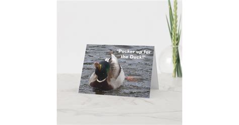Funny Mallard Duck Birthday Card Zazzle