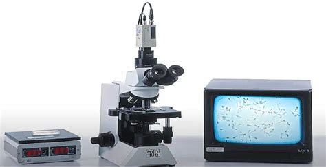 Microscopio De Contraste De Fases Todo Sobre Microscopios Hot Sex Picture