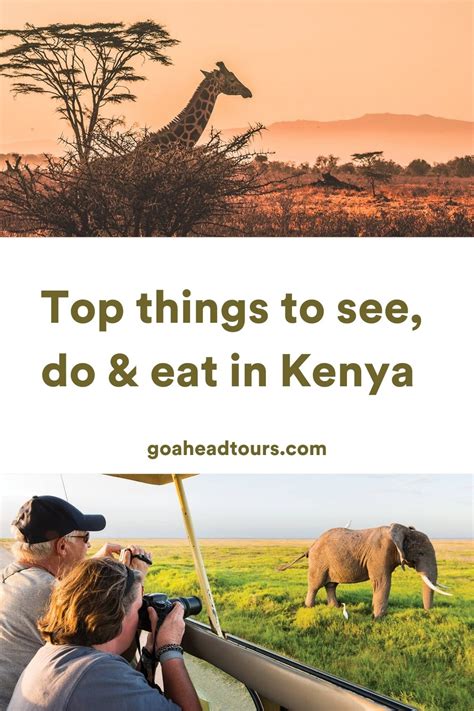 Kenya Travel Guide Kenya Travel Tips Ef Go Ahead Tours