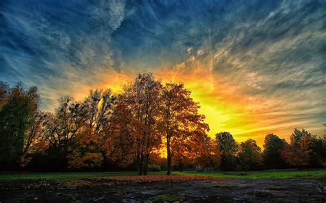 Free Download Autumn Sunset Colorful Trees 1680 X 1050 1680x1050 For