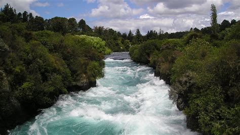 New Zealand River Course Trees Picture Photo Desktop Wallpaper