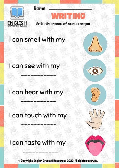 The Five Senses Worksheets English Created Resources