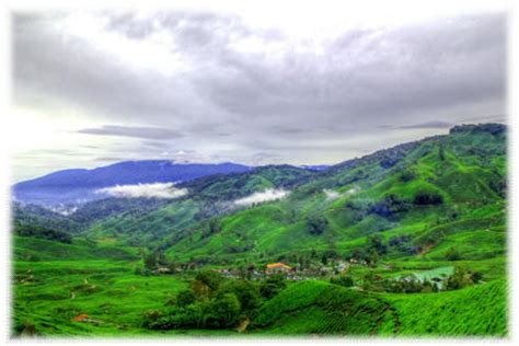 As well as offering a plethora of natural beauty, the cameron highlands also boast a rich cultural heritage. Cameron Highlands ~ Places to Visit from Kuala Lumpur