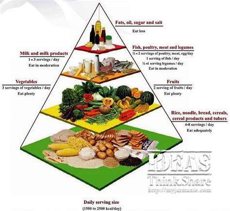 Food Pyramid Chart Free Food Pyramid Chart Templates Rezfoods Resep