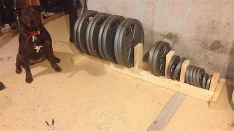 Weight bench 5 position flat incline doubles as patio bench. DIY weight rack | Weight rack, At home gym, Diy home gym