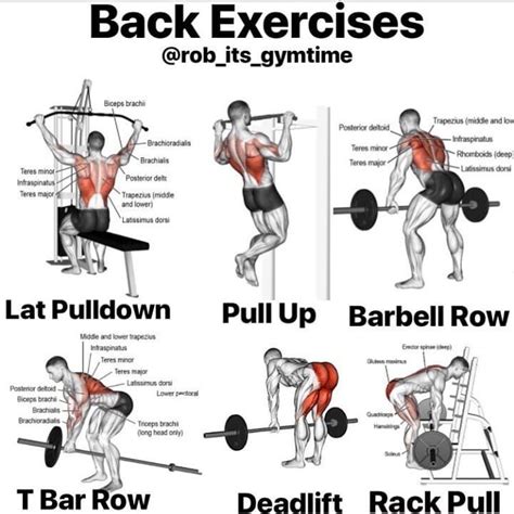 Back Exercises Try These On Your Next Back Day Follow Dietgymtips
