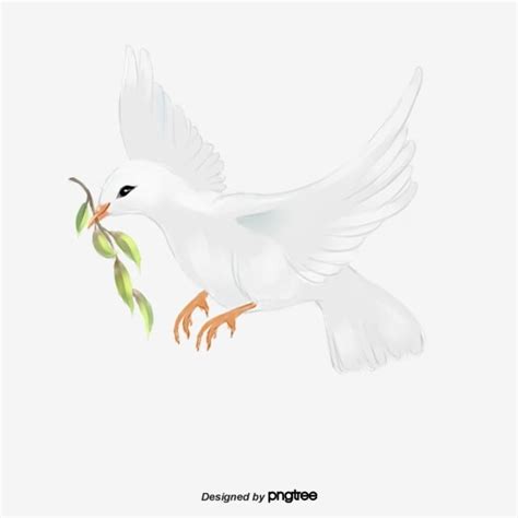 Doves Flying White Transparent White Dove Flying Leaves White Dove Flight Png Image For Free
