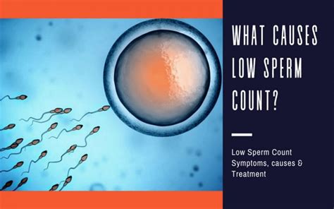 What Causes Low Sperm Count Low Sperm Count Treatment