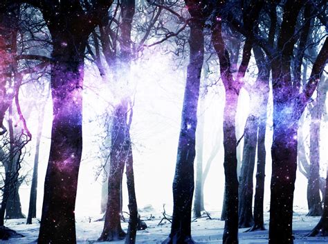 Galaxy Forest By Xkrillex On Deviantart