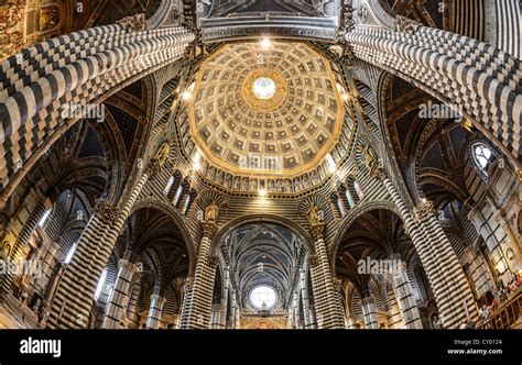 Interior View Dome Of The Cathedral Of Siena Cattedrale Di Santa