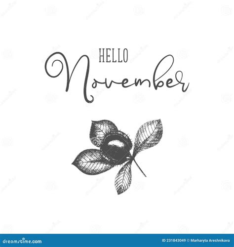 Hello November Vector Chestnut Template Hand Drawing Design For Banner