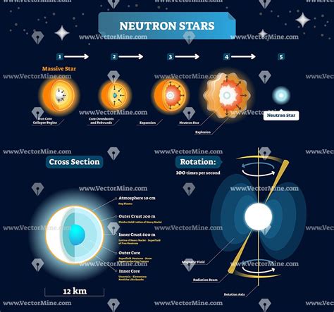 Neutron Stars Labeled Educational Diagram Vector Illustration Teaching