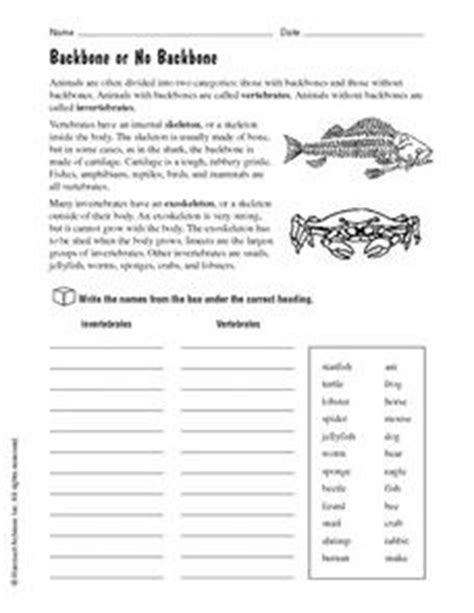 Many invertebrates grow slowly and each stage of shedding skin. Vertebrates and Invertebrates: Backbone or No Backbone 4th - 5th Grade Worksheet | Lesson Planet