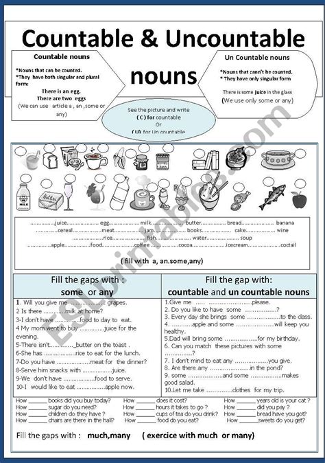 Countable And Uncountable Interactive Worksheet Works Vrogue Co