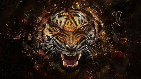 And it isn't always easy. 73+ Cool Animal backgrounds ·① Download free High ...