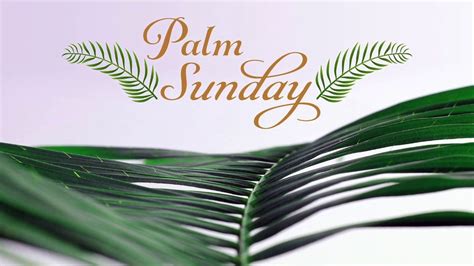 Palm Sunday 2020 Youtube
