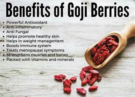 The Benefits Of Goji Berry For The Skin Goji Berries Health And