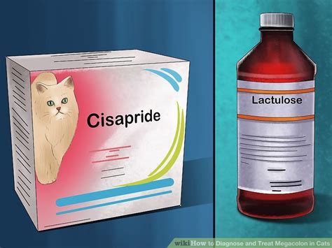 To be a safe and effective. 3 Ways to Diagnose and Treat Megacolon in Cats - wikiHow