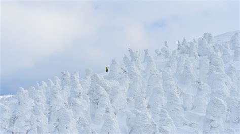 Snow Monsters Of Zao VISIT MIYAGI