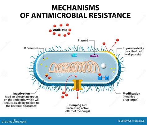 Antimicrobial Resistance Stock Vector Image 66421906