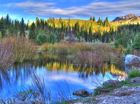 Big Cottonwood Canyon Utah Hdr Beaver Pond Flickr
