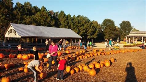 These Charming Pumpkin Patches Near Nashville Are Picture Perfect For A