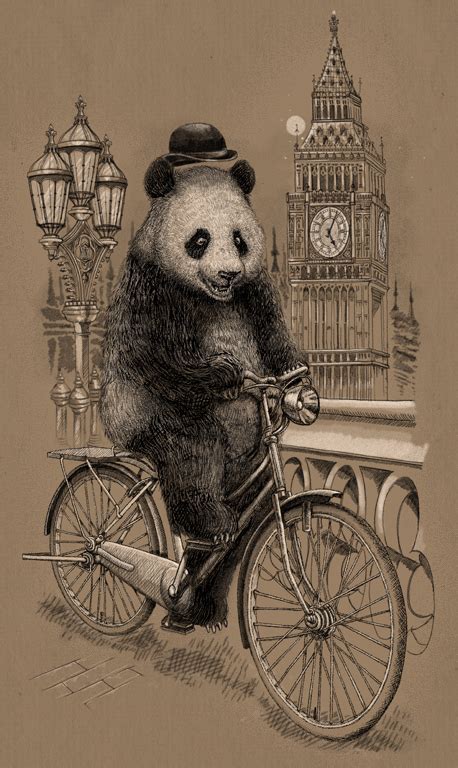Cycling Panda By Windville On Deviantart